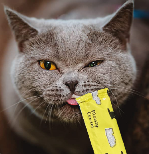 MOISTY CREAM GATO x 5 sticks (PESCADO)