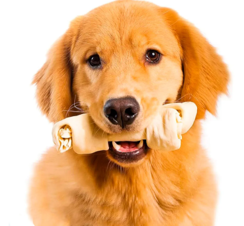 HUESO DE CUERO 7/8 NATURAL BLISTER