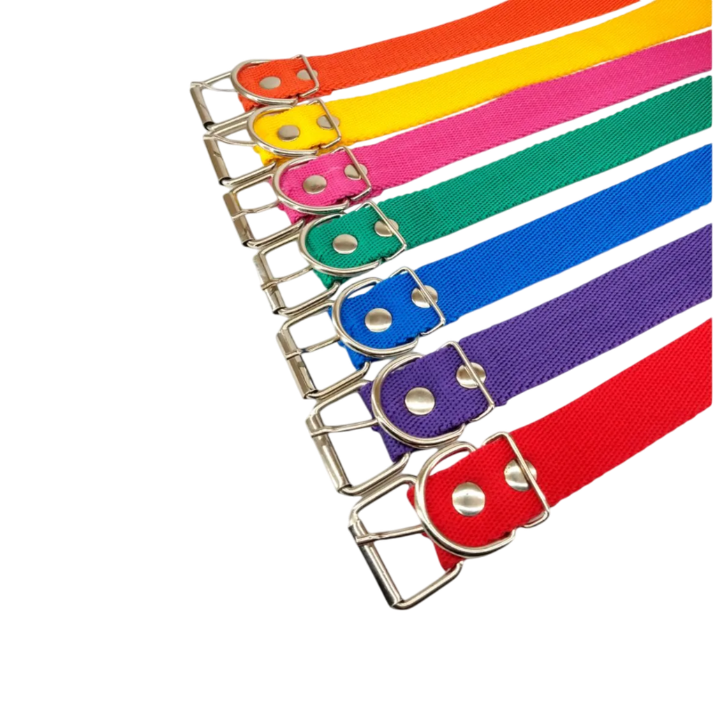 COLLAR CINTA N3 (2.5cm)